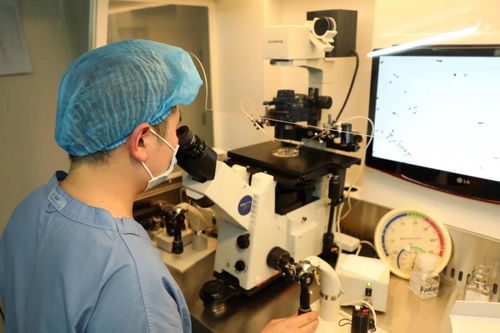 试管技术 并非一代更比一代强，听医生的话最重要